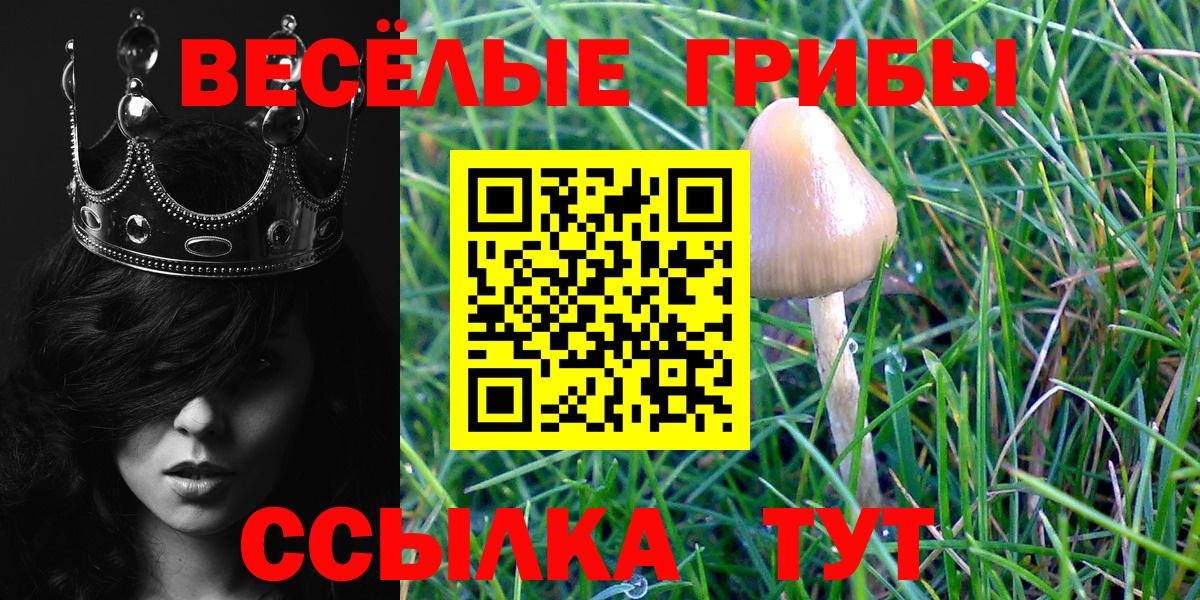 Галлюциногенные грибы Magic Shrooms Джанкой