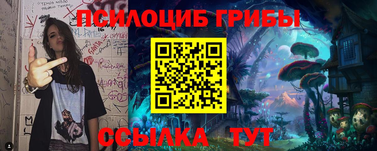 АМФЕТАМИН кристаллы  ЭКСТАЗИ  Гашиш  НБОМе  Где купить наркотики?  МАРИХУАНА  Мефедрон   APVP СК   Вход с VPN  Джанкой  Cocaine 