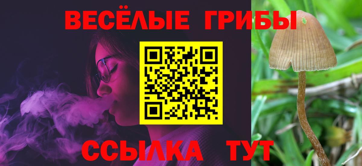 Псилоцибиновые грибы мицелий Джанкой